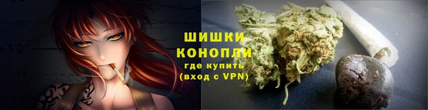 сатива Переславль-Залесский