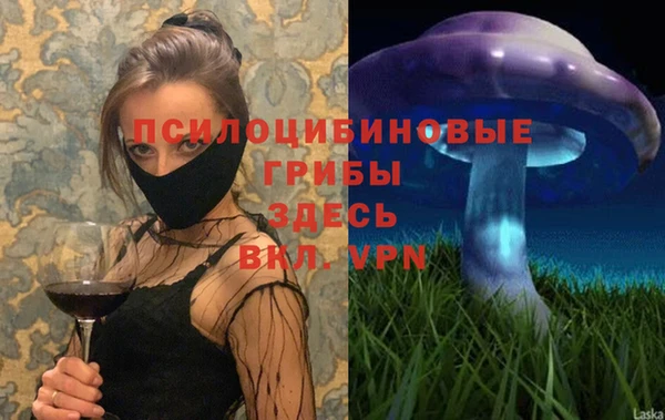 сатива Переславль-Залесский
