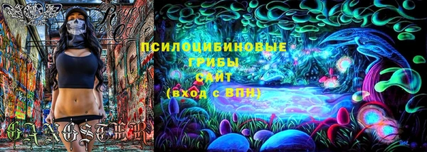 прущие крисы Пересвет