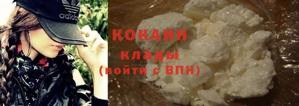 прущие крисы Пересвет