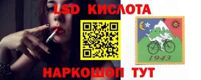 ПСИЛОЦИБИНОВЫЕ ГРИБЫ Заводоуковск