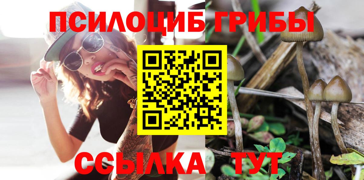 Псилоцибиновые грибы мухоморы Ставрополь