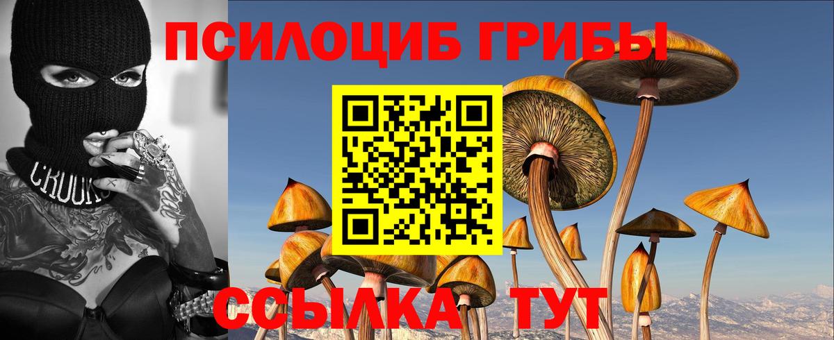Ставрополь  Псилоцибиновые грибы мицелий  Вход с VPN 